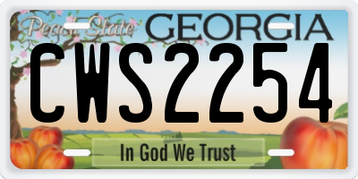 GA license plate CWS2254