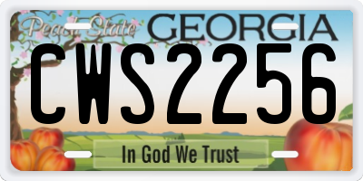 GA license plate CWS2256
