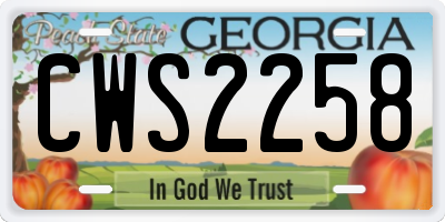 GA license plate CWS2258