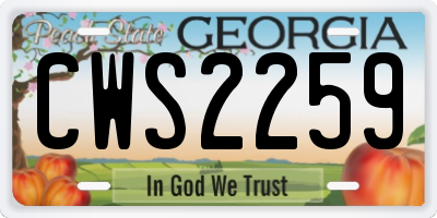 GA license plate CWS2259