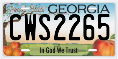 GA license plate CWS2265
