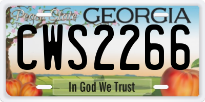 GA license plate CWS2266