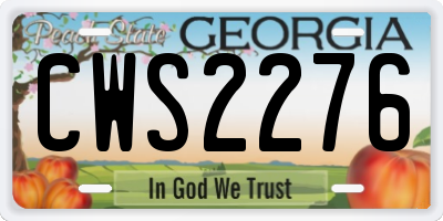 GA license plate CWS2276