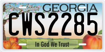 GA license plate CWS2285
