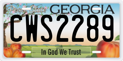 GA license plate CWS2289