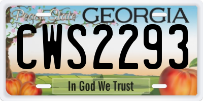 GA license plate CWS2293