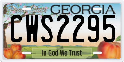 GA license plate CWS2295