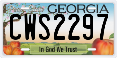 GA license plate CWS2297