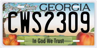 GA license plate CWS2309
