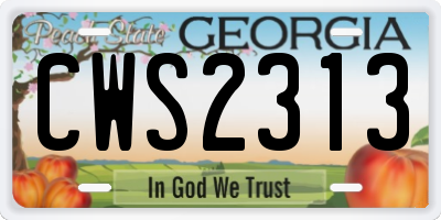 GA license plate CWS2313