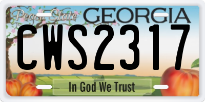 GA license plate CWS2317