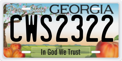 GA license plate CWS2322