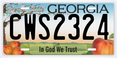 GA license plate CWS2324