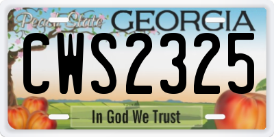 GA license plate CWS2325