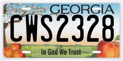 GA license plate CWS2328