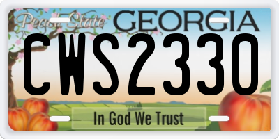 GA license plate CWS2330