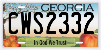 GA license plate CWS2332