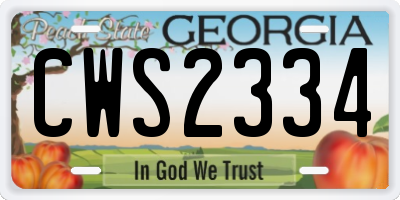 GA license plate CWS2334