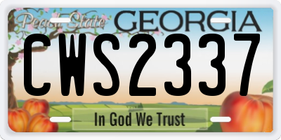 GA license plate CWS2337