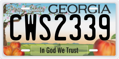 GA license plate CWS2339