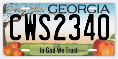 GA license plate CWS2340