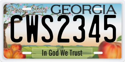 GA license plate CWS2345
