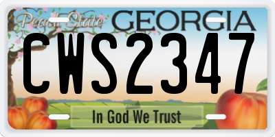 GA license plate CWS2347
