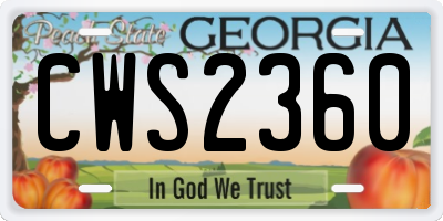 GA license plate CWS2360