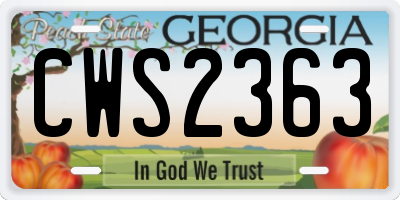 GA license plate CWS2363