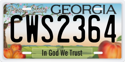 GA license plate CWS2364