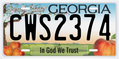 GA license plate CWS2374