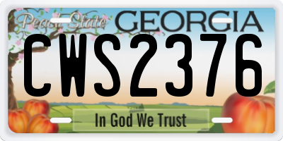 GA license plate CWS2376