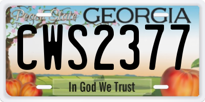 GA license plate CWS2377