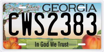 GA license plate CWS2383