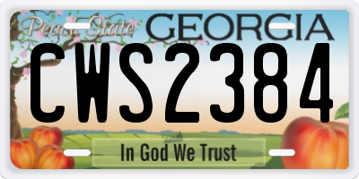 GA license plate CWS2384