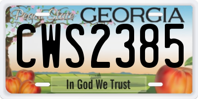GA license plate CWS2385