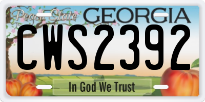 GA license plate CWS2392