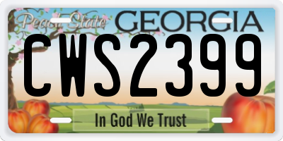 GA license plate CWS2399