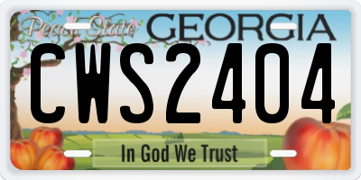 GA license plate CWS2404