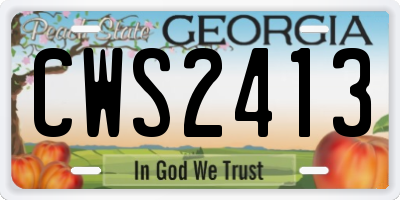GA license plate CWS2413