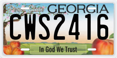 GA license plate CWS2416