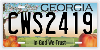 GA license plate CWS2419