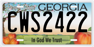 GA license plate CWS2422