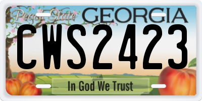 GA license plate CWS2423