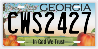 GA license plate CWS2427