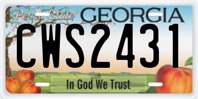 GA license plate CWS2431
