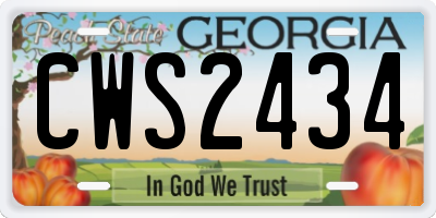 GA license plate CWS2434