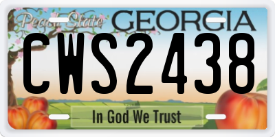GA license plate CWS2438