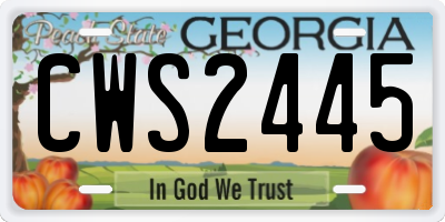 GA license plate CWS2445