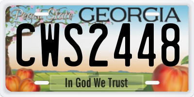 GA license plate CWS2448